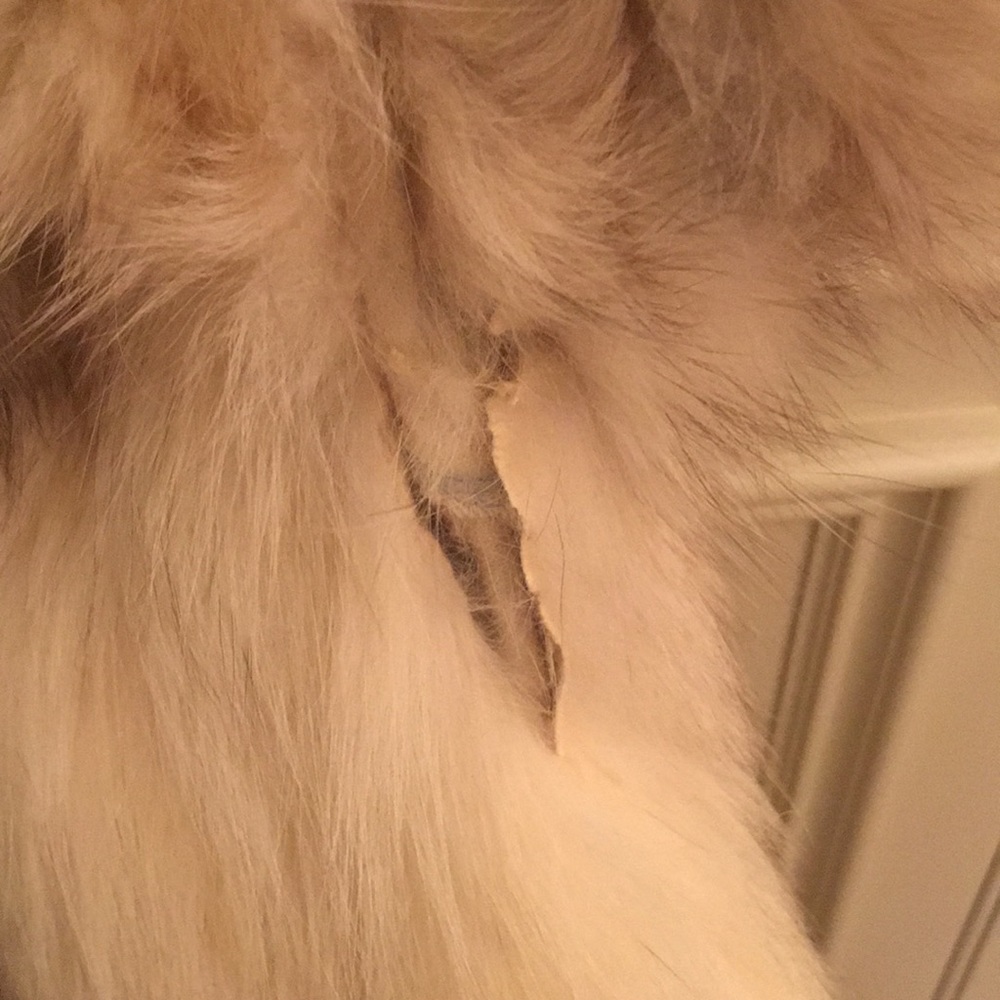 Fur Jacket - Picture 3 of 3